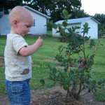 Enjoying blueberries