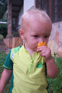 Smelling a flower