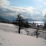 View in Zug