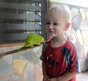 Chameleon up and close!