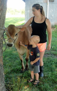 Cow close and personal!